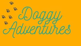 doggy daycare alaska - doggy adventures