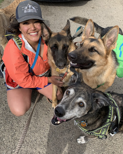 doggy daycare alaska - doggy adventures