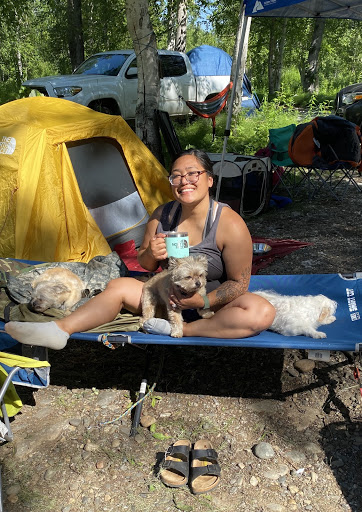 doggy daycare alaska - doggy adventures