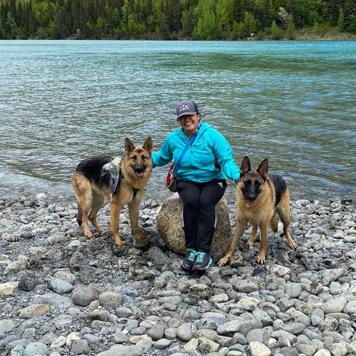 doggy daycare alaska - doggy adventures